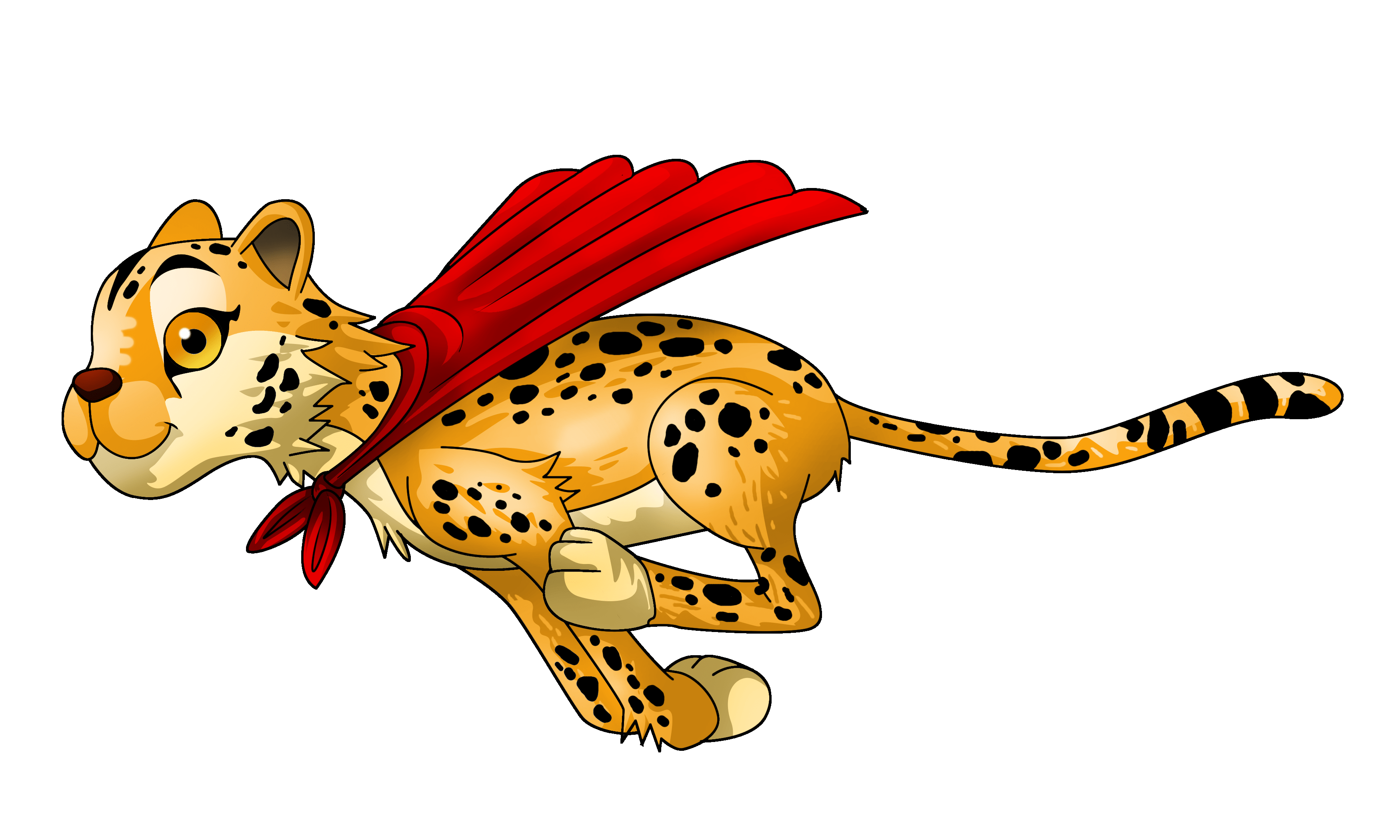Cheetah